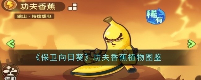保卫向日葵功夫香蕉植物图鉴，探索向日葵与植物的奥秘